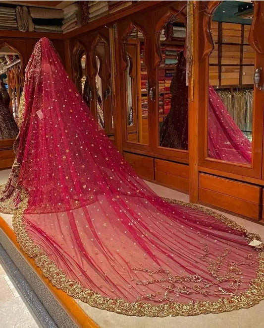 Beautiful Long Tail Bridal Dress in Red : Grand Gold Embroidered Gown
