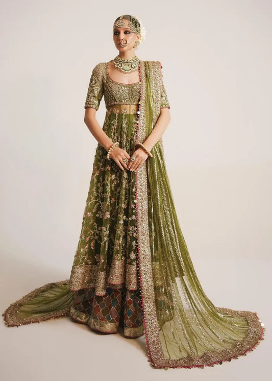 Green Net Peshwaz with Pink Sequins