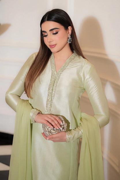 Designer Mint Green Tissue Silk Formal Ensemble